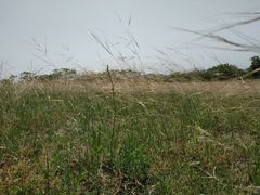 -汉长安城未央宫国家考古遗址公园