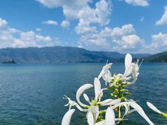 -丽江泸沽湖景区