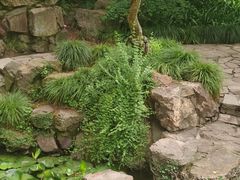 -秋霞圃