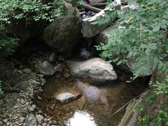 -陕西省红河谷森林公园