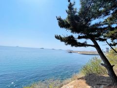 -南山鲜虾面·活鲜小馆·海味大连菜(南山总店)