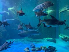 -多彩贵州城极地海洋世界