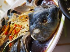 -煲来饱去冷水鱼