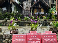 -海南槟榔谷黎苗文化旅游区