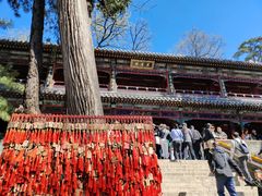 -潭柘寺景区