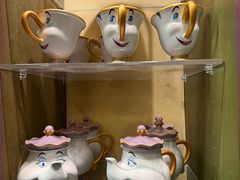 -奥兰多迪士尼动物王国乐园