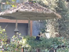 -云南野生动物园
