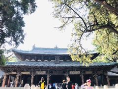 -晋祠公园