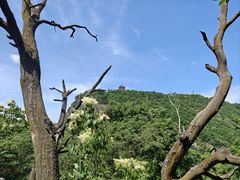 -崆峒山景区
