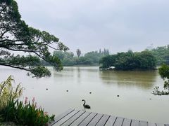 -江心屿景区