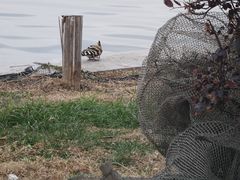 -昆山城市生态森林公园
