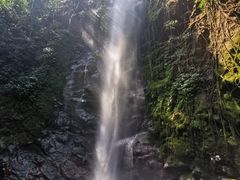 -莫里热带雨林景区