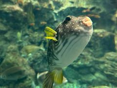 -鹿儿岛水族馆