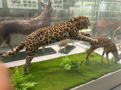 -北京中医药大学-中医药博物馆