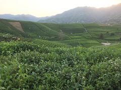 -侘山民宿(杭州西湖龙坞店)