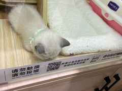 -上海尚嘉中心