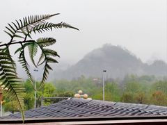 -宴武夷·匠心闽味(印象大红袍店)