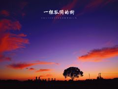 -贡湖湾湿地公园