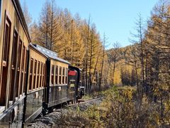 -莫尔道嘎国家森林公园