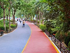 -大兴滨河森林公园