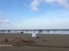 -日照海滨国家森林公园
