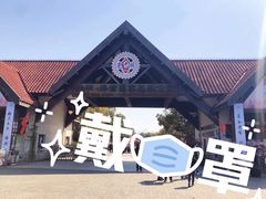 景点-上海海湾国家森林公园