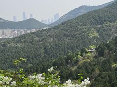-佛慧山