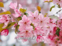 -海棠花溪(元大都城垣遗址公园)
