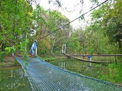-溱湖国家湿地公园