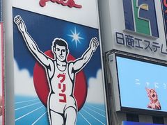-大起水产回转寿司(道顿堀店)