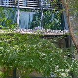 宁波探店✔️新晋ins风街边咖啡馆·喜否