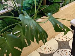 -鹿港小镇(霄云店)