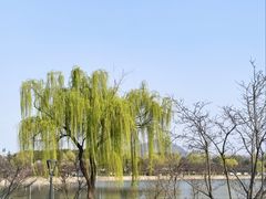 -羊山湖公园