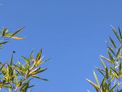 -火火咖啡&茶空间