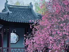 -莫愁湖公园