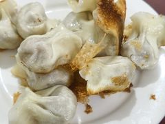 -东门饺子馆(少年宫路店)