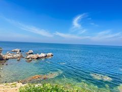 -养马岛旅游度假区