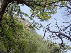 -窦大夫祠