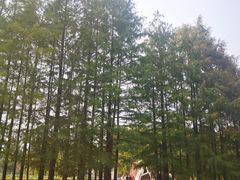 -月湖风景区