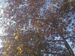 android_upload_pic-陕西师范大学(雁塔校区)