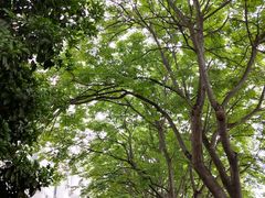-西安外国语大学(长安校区)
