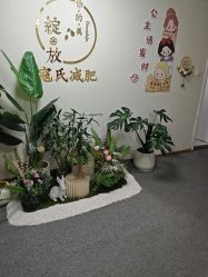 点击看大图 -寇氏减肥