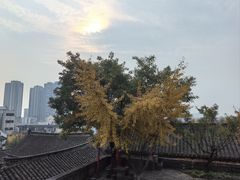 -天朝元辅-徐州民俗博物馆