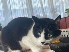 -路易时光(蕴川路店)