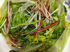 白灼罗马生菜-同发号饭庄(复兴路店)