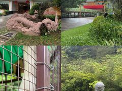 -梅州雁山湖国际花园度假区