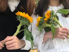 -映月湖中央公园