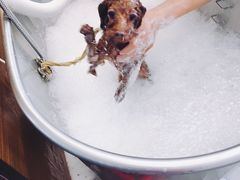 -PETKIT小佩宠物(古北店)
