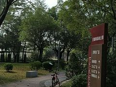 -王借岗森林公园