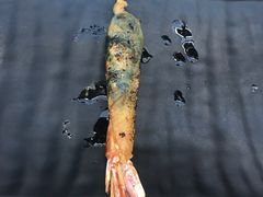 -鸟串烧Yakitori